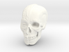 Anatomy Head 3d printed 
