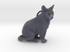 Custom Cat Ornament - Mushu 3d printed 