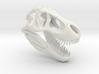 Tyrannosaurus Dinosaur Skull - T-Rex Skull 1:40 3d printed 