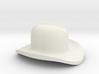 Assem1 - Cowboy Hat-1 3d printed 