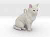 Custom Cat Ornament - Blanca 3d printed 