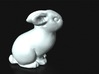 "Chanford" Bunny Netsuke (accessory for Japanese k 3d printed 