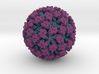 Feline Calicivirus radial colour 1Mx mag 3d printed 