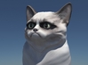 Grumpy Cat Bust 3d printed 3d render