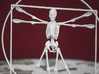 Vitruvian Man Skeleton 3d printed 