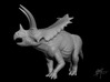  Pentaceratops 1/40 3d printed 