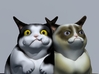 Grumpy Cat (Tard) & Pokey 3d printed 