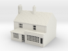 TFS-20 N Scale Topsham Fore Street building 1:148 3d printed 