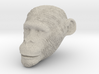 Head Chimp 3d printed 
