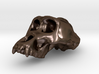 Gorila ♂ cranium 3d printed 