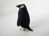 Pedro the Penguin 3d printed 