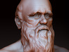 Charles Darwin Bust 3d printed zbrush render of the model