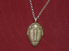 Trilobite Fossil Necklace 3d printed Stainless steel print. Chain not included.