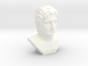 Alexander the Great (356 – 323 BC) 3d printed 